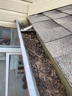 Home Inspection gutter needs cleaning
